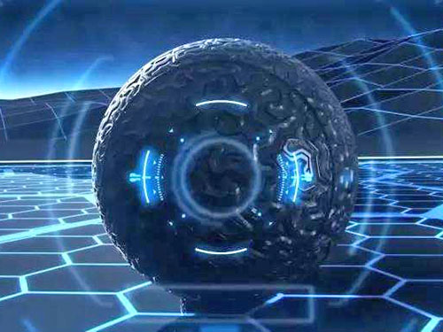 烟台泰康食品有限公司_速冻水果|速冻蔬菜|保鲜水果|保鲜蔬菜|调理食品_泰康食品简介